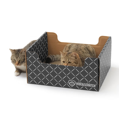 Cooking with Cats Mission Meow Bundle--National Cat Adoption Month Special